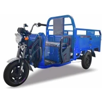 Грузовой электротрицикл Yasmand Карго 1500 60V 1800W Синий