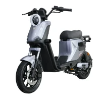 Электроскутер SAIGE GT1 серый