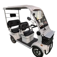 Гольфкар GreenCamel Сонора A3 ECO (3 seats 1000W R8)